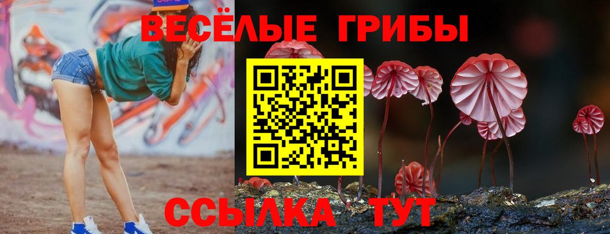 Красноперекопск  купить наркотики сайты  Вход с VPN  Галлюциногенные грибы MAGIC MUSHROOMS 